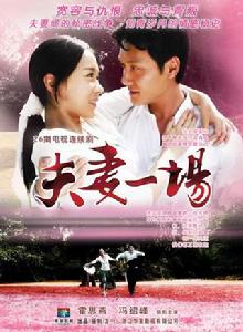 夫妻一場[2008年霍思燕、馮紹峰主演家庭倫理劇]