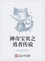 神奇寶貝之勇者傳說 神奇寶貝之勇者傳說