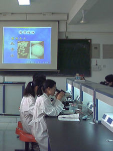 醫學檢驗師 醫學檢驗師