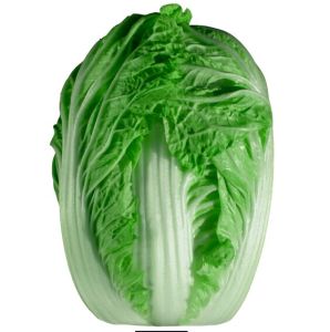 綠園1號 綠園1號