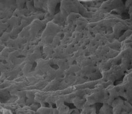 有機鐵磁材料 有機鐵磁材料