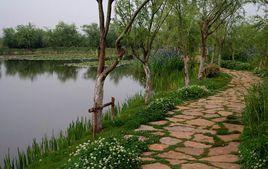 昆明滇池國際城市濕地公園 昆明滇池國際城市濕地公園