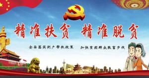 精準脫貧 精準脫貧