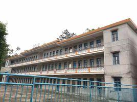 官河國小 官河國小