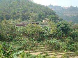 木西自然村 木西自然村