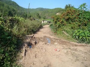 芒仗自然村 芒仗自然村