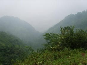 羊看墳自然村 羊看墳自然村