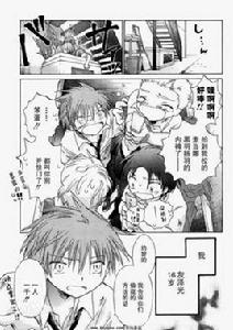 她們的最終定理 她們的最終定理