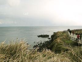 涉地可支 涉地可支