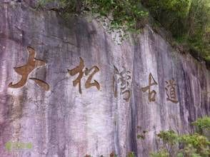 大松灣古道 大松灣古道
