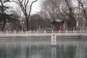 南珍珠泉 南珍珠泉