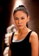 十二生肖[2012年成龍自導、自編、主演電影]