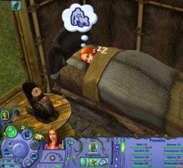 模擬人生之漂流者物語 模擬人生之漂流者物語