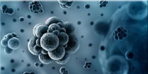 MOGT微創生物基因靶向技術 MOGT微創生物基因靶向技術