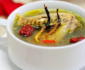 枸杞蟲草鴿子湯 枸杞蟲草鴿子湯