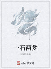 一石兩夢