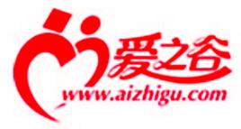 愛之谷[公司名]