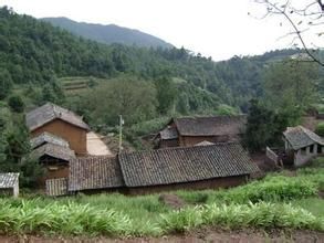 龔家坪村 龔家坪村