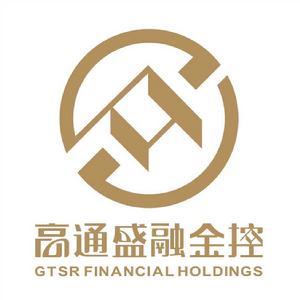 高通盛融金融控股有限公司 高通盛融金融控股有限公司