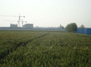 皮莊子舊址 皮莊子舊址