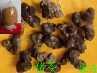 豬苓多糖 豬苓多糖