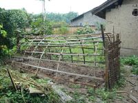 坪田自然村 坪田自然村