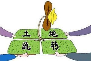 農村土地承包經營權流轉研管理辦法