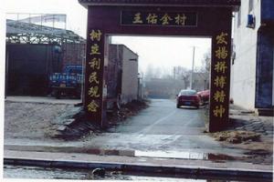 王佑泉村 王佑泉村