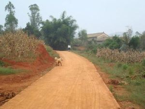 紅甸回族鄉 紅甸回族鄉