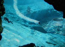 地下文明說 地下文明說