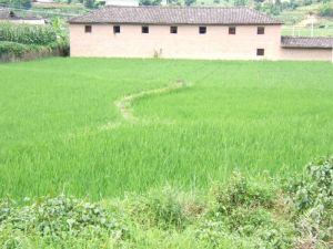 街子一自然村 街子一自然村