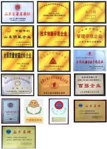 威海恆大電機（集團）有限公司