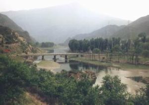 慕川富士園 慕川富士園