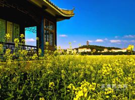 橋頭鎮[懷集縣下轄鎮]