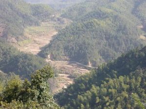 榮山墾殖場 榮山墾殖場