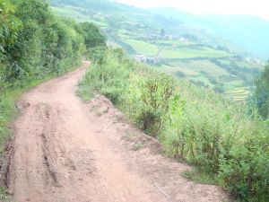 金家自然村 金家自然村