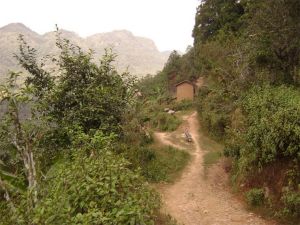 核桃樹自然村 核桃樹自然村