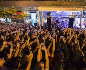 冬粉癲狂症 冬粉癲狂症