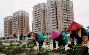 許厝社區 許厝社區