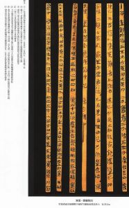 《武威漢代醫簡》 《武威漢代醫簡》