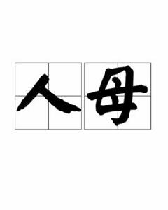 人母 人母