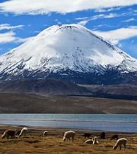 帕里納科塔火山 帕里納科塔火山