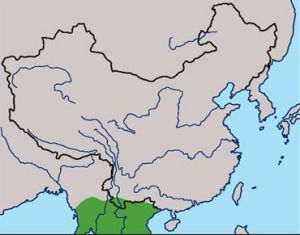 綠腳山鷓鴣分布圖