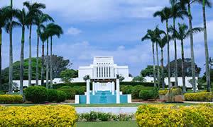 中歐國際管理學院 中歐國際管理學院