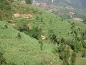 忙亥自然村 忙亥自然村