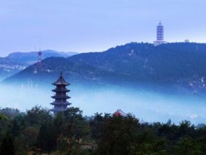 山東森林旅遊年票 山東森林旅遊年票