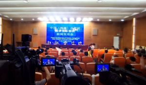 海口江東新區 海口江東新區