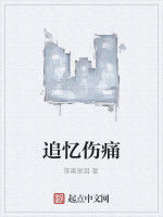 追憶傷痛 追憶傷痛