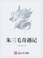 朱三毛奇遇記 朱三毛奇遇記