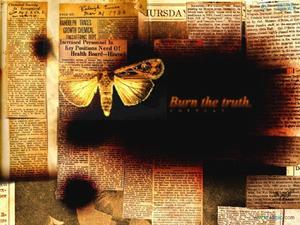 《以夢想的名義失去愛情》